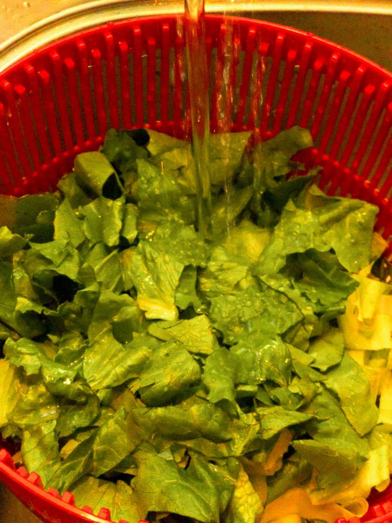cut romaine lettuce in a red colander with water running over it