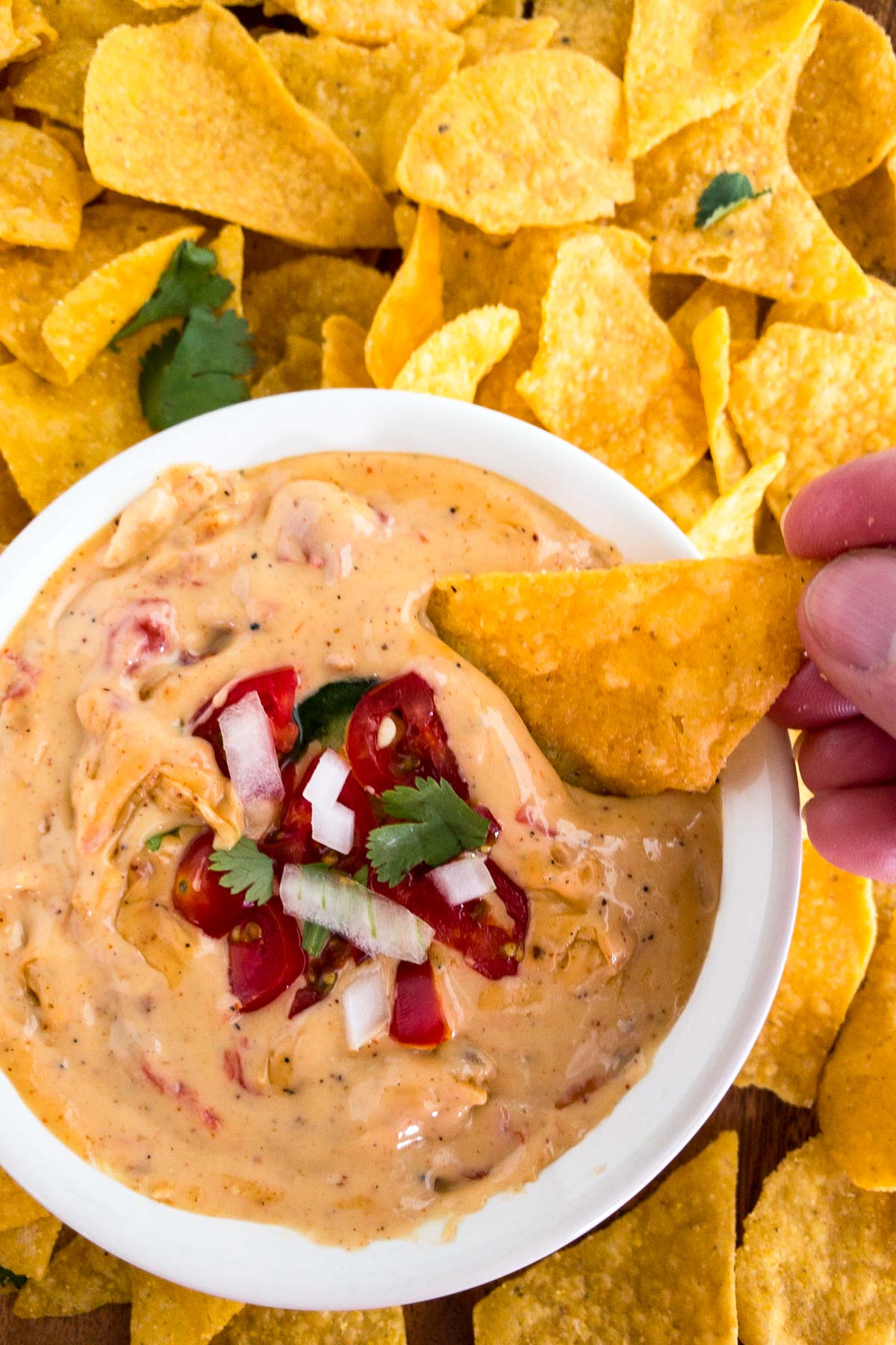 The Best Queso (Cheese) Dip Gitta's Kitchen